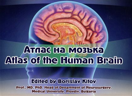 Атлас на мозъка (Atlas of the Human Brain)